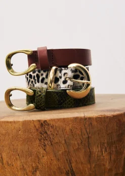 IDALIA Brown Belt